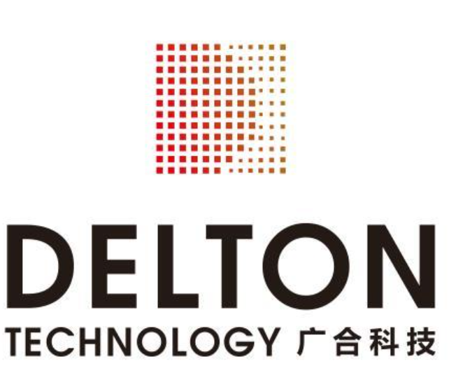 DELTON TECHNOLOGY