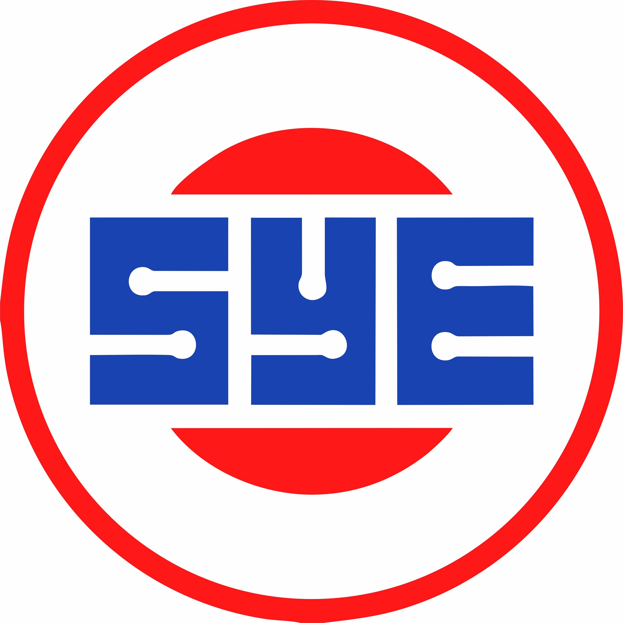 SYE